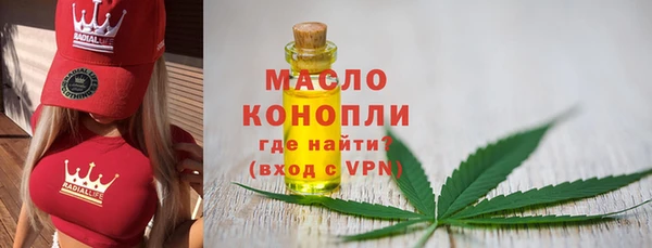 индика Осташков