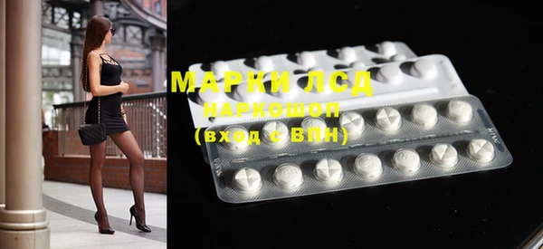 индика Осташков