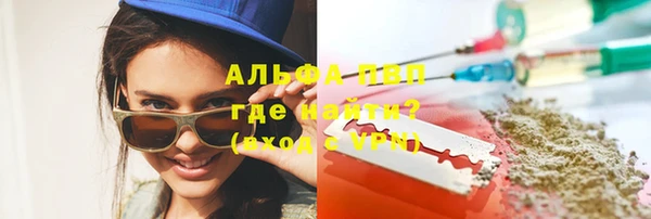 индика Осташков