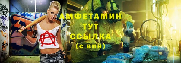 индика Осташков
